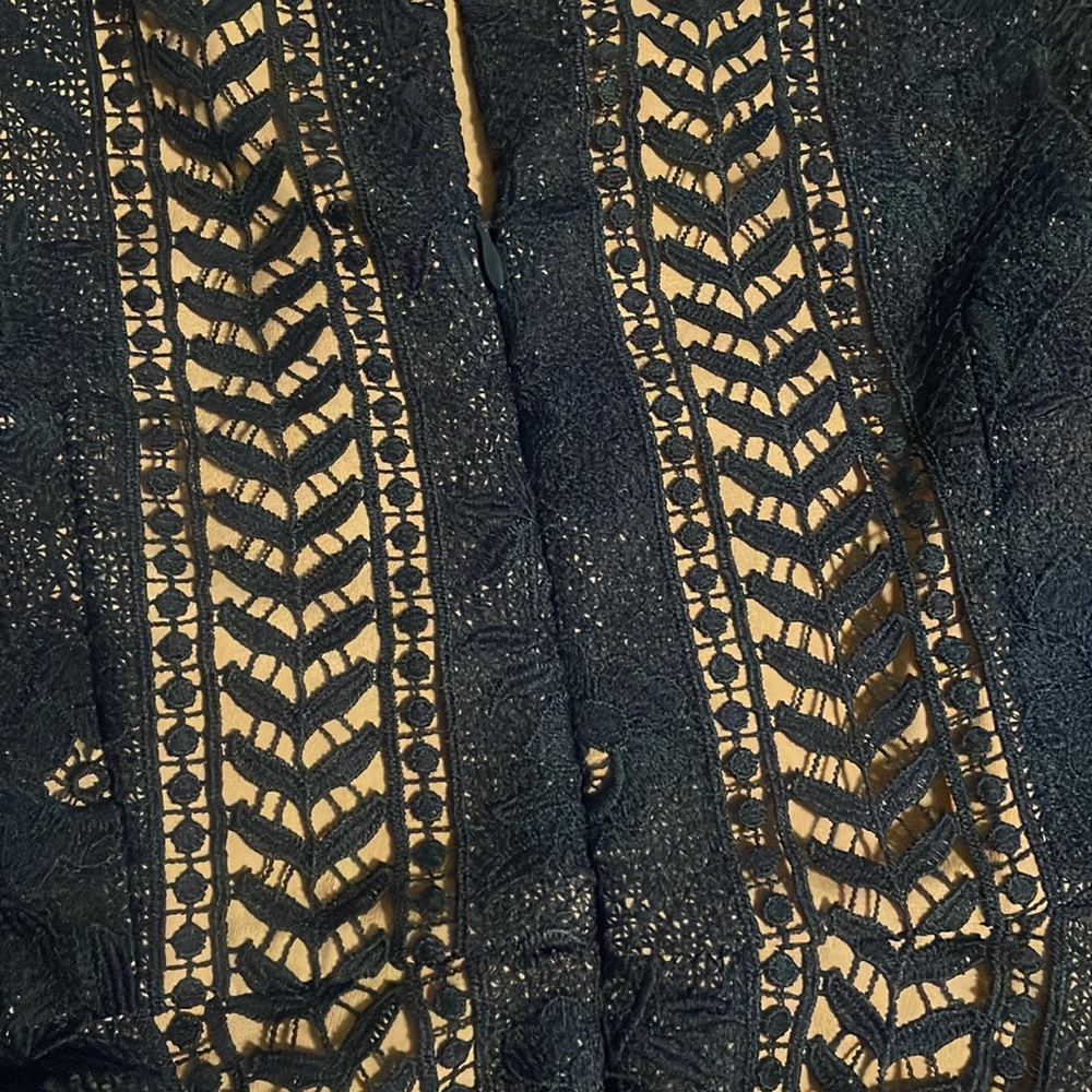 Anthropologie Lace Midi Dress - Picture 8 of 8